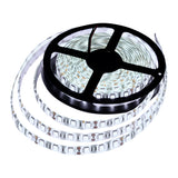 CINTA LED DIRECTA 110V 5 METROS
