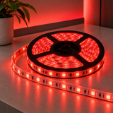 CINTA LED 12V 5 METROS